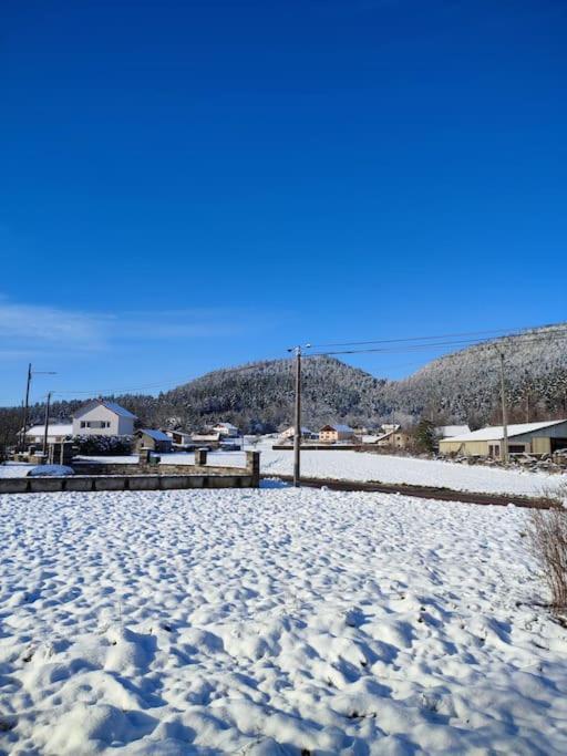 Gite Cosy Avec Avec Jardin Et Parking Privatifs - Hautes Vosges Saint-Amé Екстериор снимка