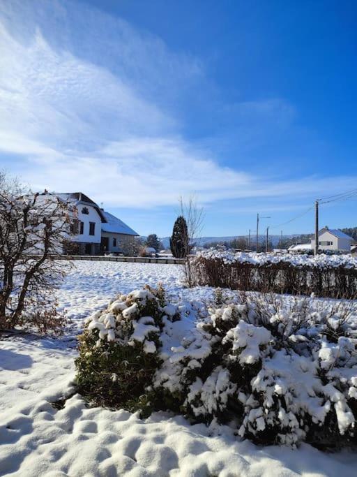 Gite Cosy Avec Avec Jardin Et Parking Privatifs - Hautes Vosges Saint-Amé Екстериор снимка